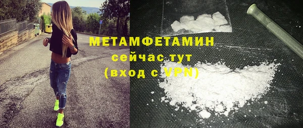 прущие грибы Беломорск