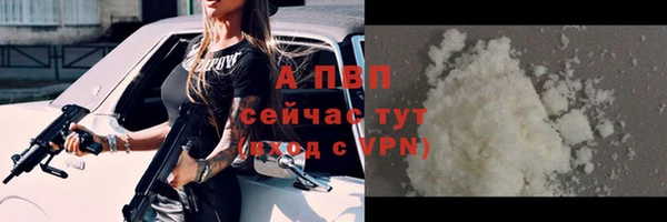 прущие грибы Беломорск
