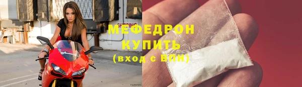 индика Богородск