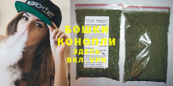крисы Белокуриха