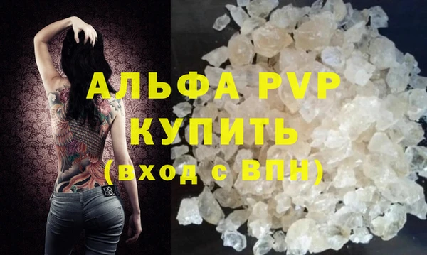 спиды Богданович