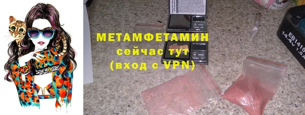 прущие грибы Беломорск
