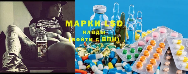 индика Богородск