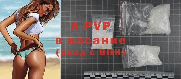 спиды Богданович