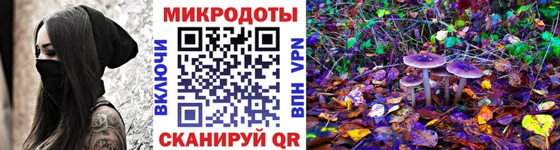 Галлюциногенные грибы Cubensis  маркетплейс официальный сайт  Купино  магазин  наркотиков 